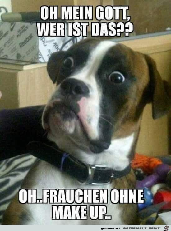 Oh mein Gott Oh mein Gott