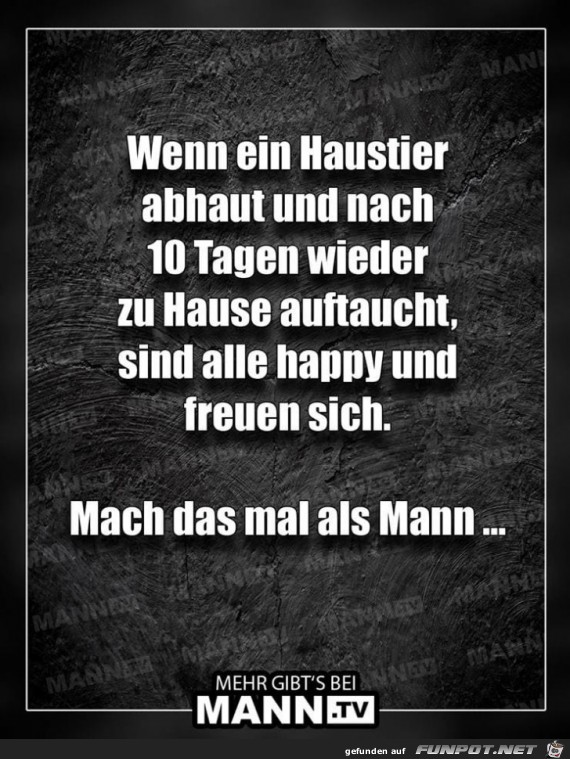 Unterschied Haustier - Mann Unterschied Haustier - Mann
