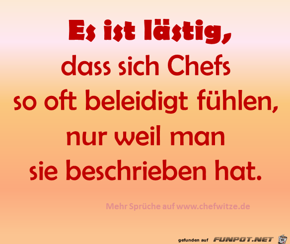 Es ist laestig...