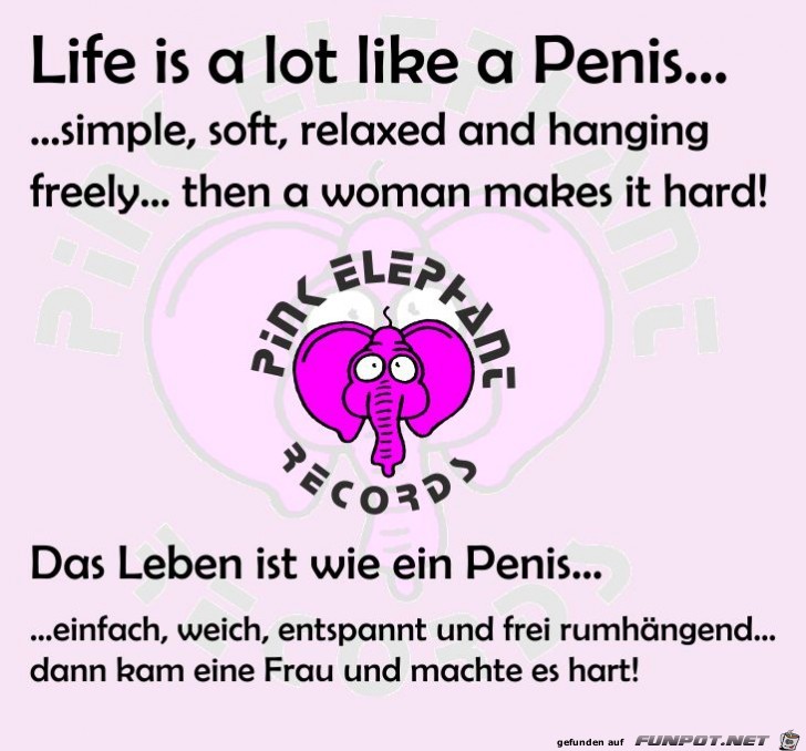 Life like a Penis Life like a Penis