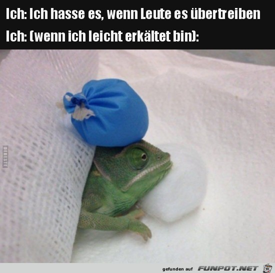 Beides mal derselbe Beides mal derselbe