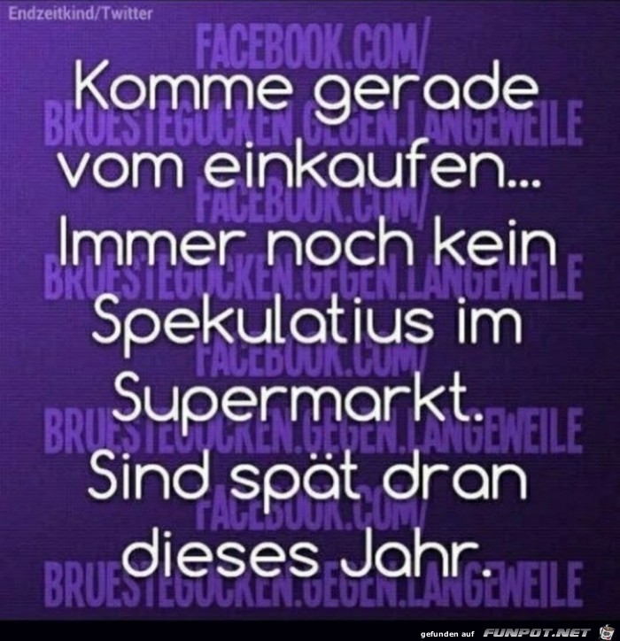 immer noch kein Spekulatius immer noch kein Spekulatius
