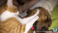 Super Massage Super Massage