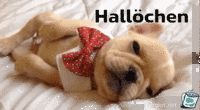 Hallöchen Hallöchen