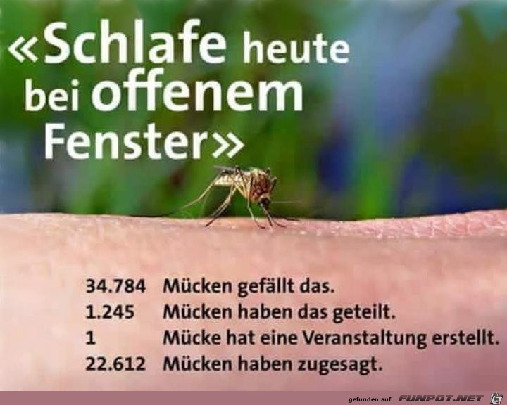 Bei offenem Fenster schlafen