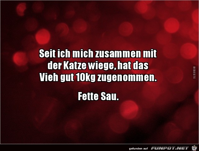 fette Sau.... fette Sau....