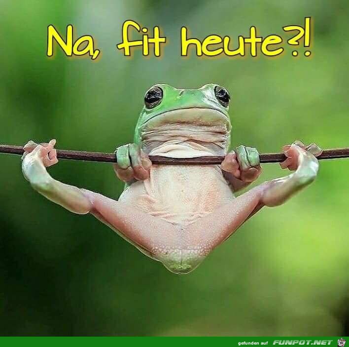 Na fit Na fit