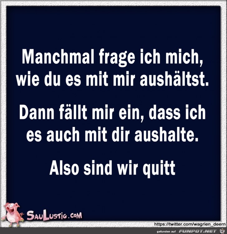 Lustiger Spruch Manchmal Frage Ich Mich Wie Du Es Mit Mir Aushaelst 