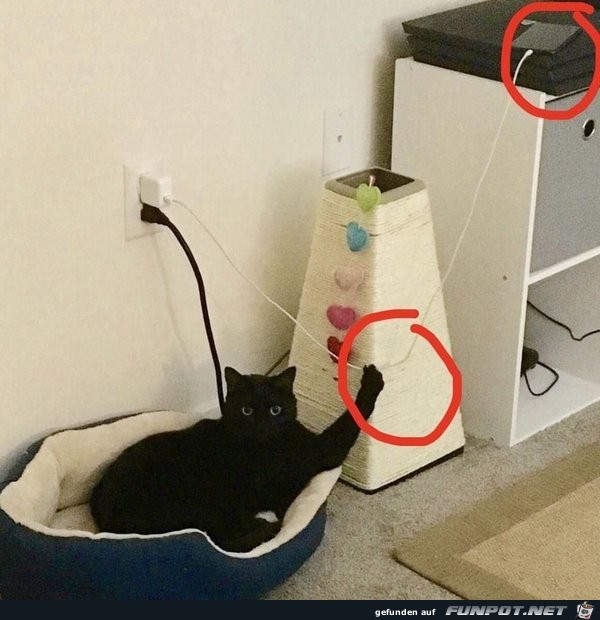 Gib mir Futter, sonst... Gib mir Futter, sonst...