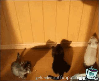 Lustiges Spiel Lustiges Spiel