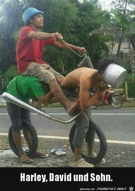 Harley...... Harley......
