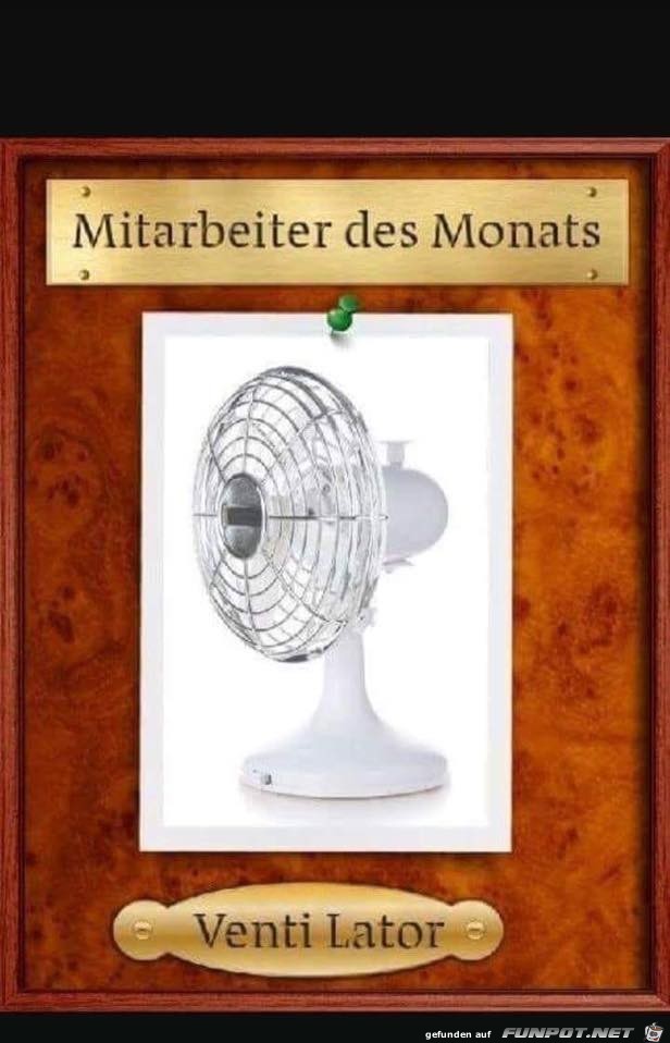 Mitarbeiter des Monats