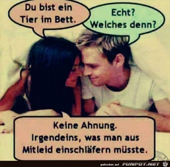 Freundliche Unterhaltung Freundliche Unterhaltung