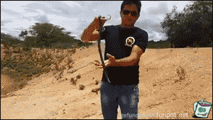 Einer macht das Video immer kaputt Einer macht das Video immer kaputt