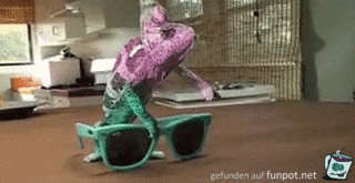 Chameleon Chameleon