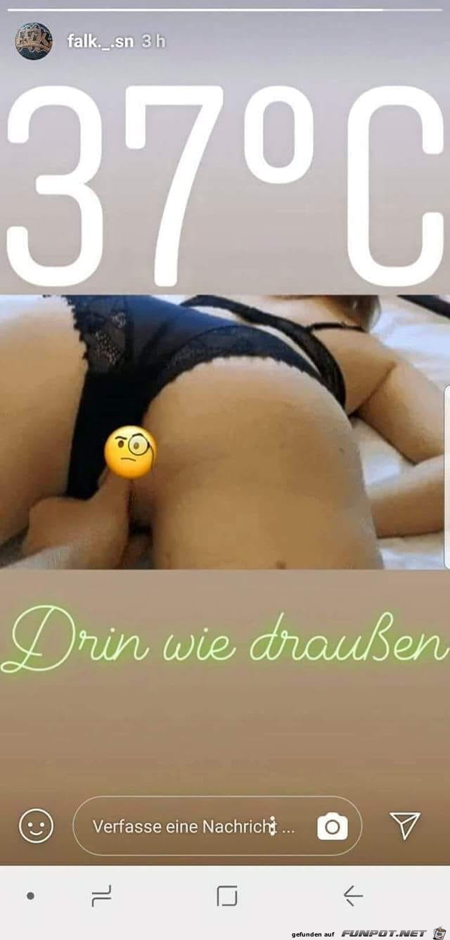 37 Drin wie draussen....