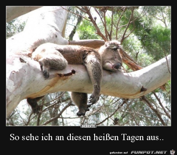 Gechillt Gechillt