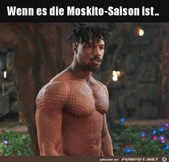 Moskito-Saison Moskito-Saison