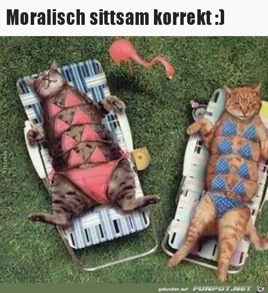 Sehr anständig Sehr anständig