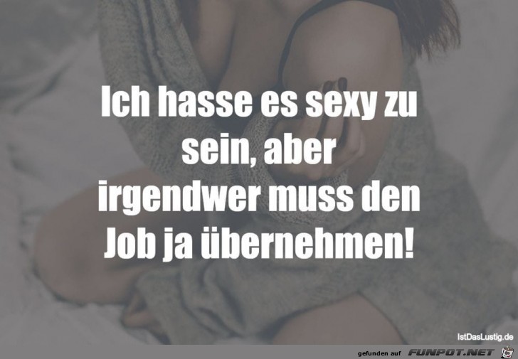 Ich hasse es Ich hasse es