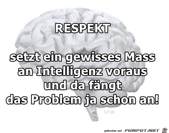 Respekt Respekt