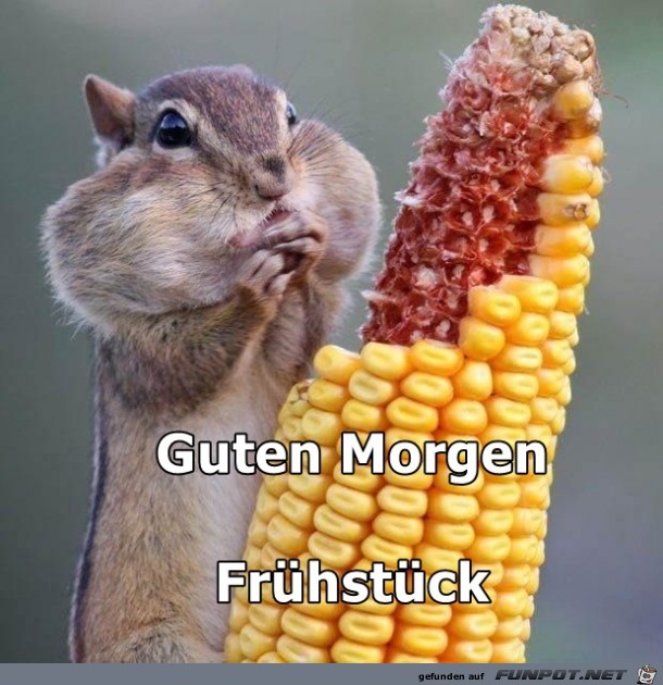 Guten Morgen4 Guten Morgen4