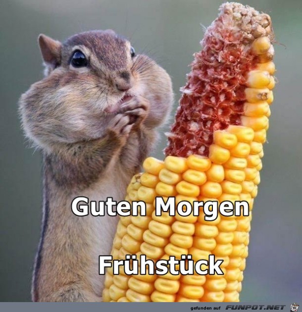 Guten Morgen4