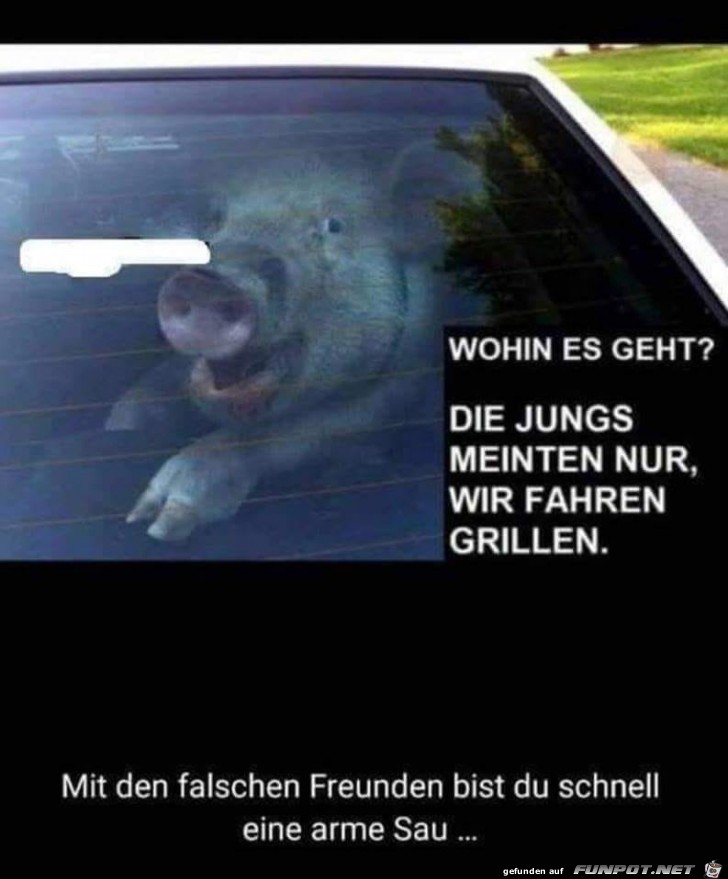 Wohin geht es?