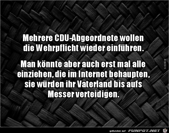 Wehrpflicht wieder einführen...... Wehrpflicht wieder einführen......