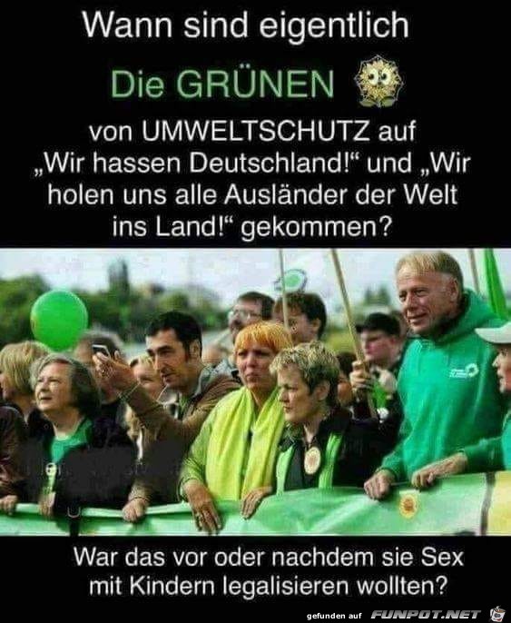 die Grünen die Grünen