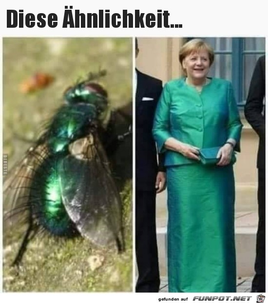 Verwechslungsgefahr Verwechslungsgefahr