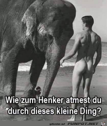 so klein so klein