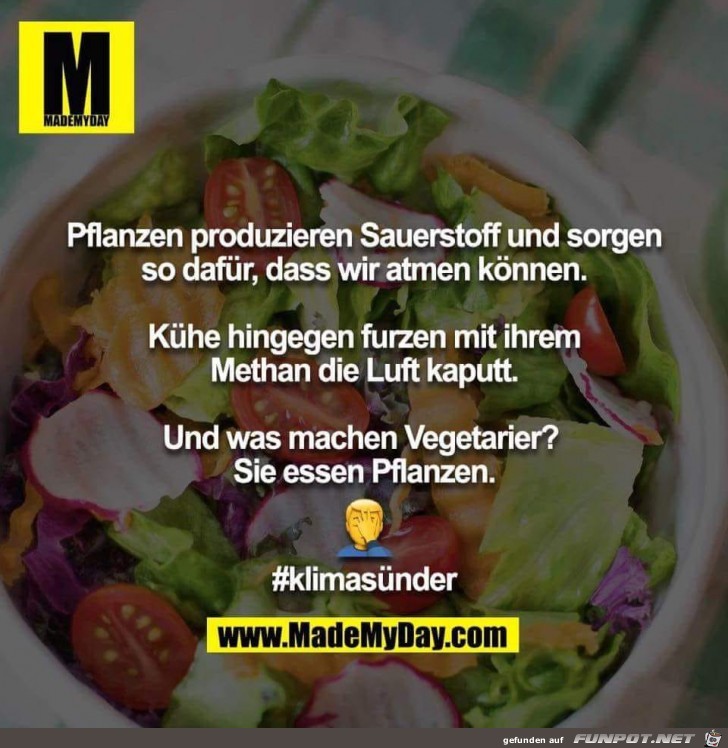 Pflanzen/Kühe und Sauerstoff Pflanzen/Kühe und Sauerstoff