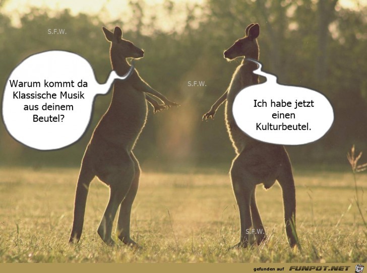 Kulturbeutel Kulturbeutel