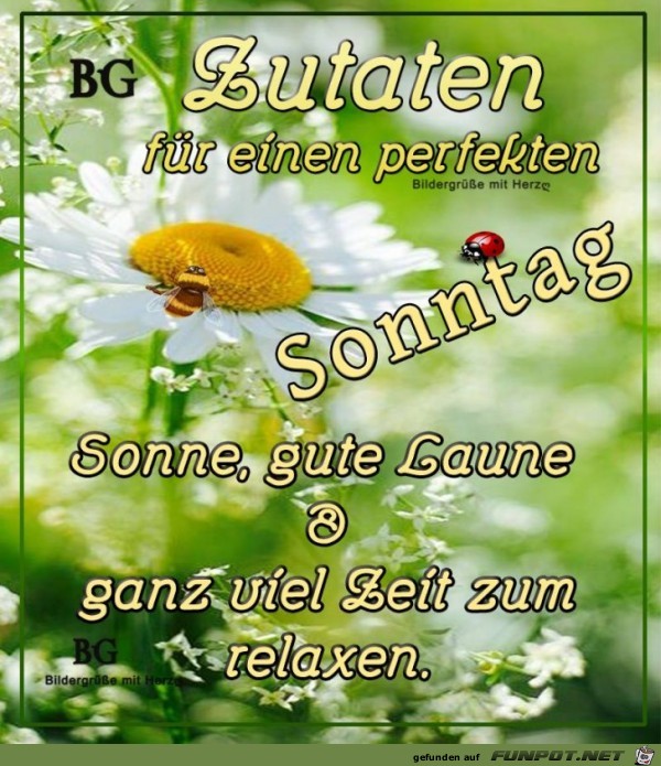 Zutaten Zutaten