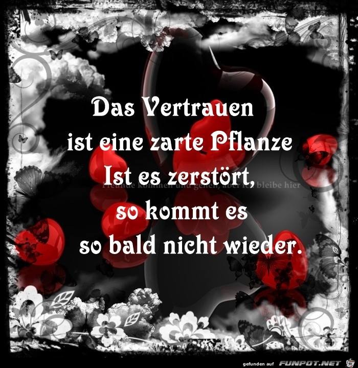 Das Vertrauen Das Vertrauen