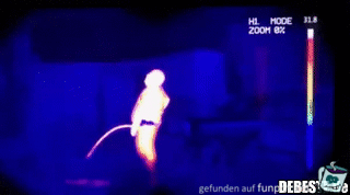 Wärmebild Wärmebild