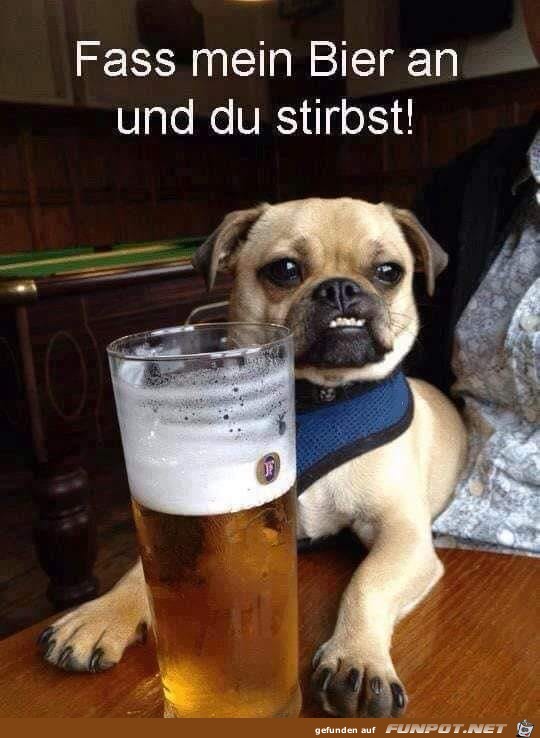mein Bier mein Bier
