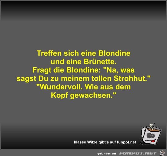 Treffen sich eine Blondine und eine Brünette Treffen sich eine Blondine und eine Brünette