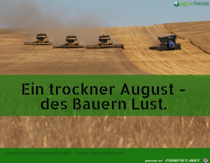 Bauernregel 2. Augustwoche Bauernregel 2. Augustwoche