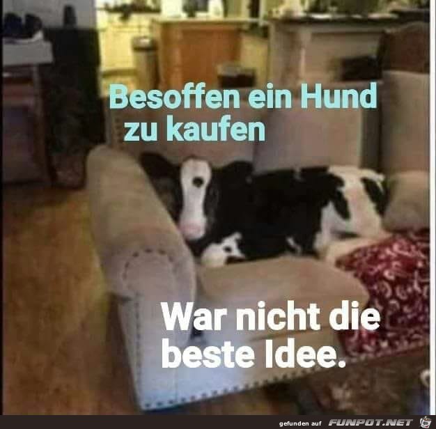 Fehlkauf im Suff Fehlkauf im Suff