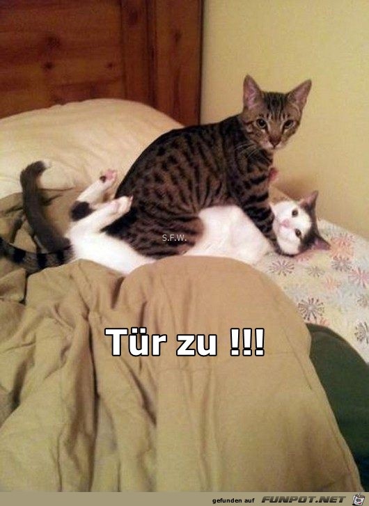 Tuer zu Tuer zu