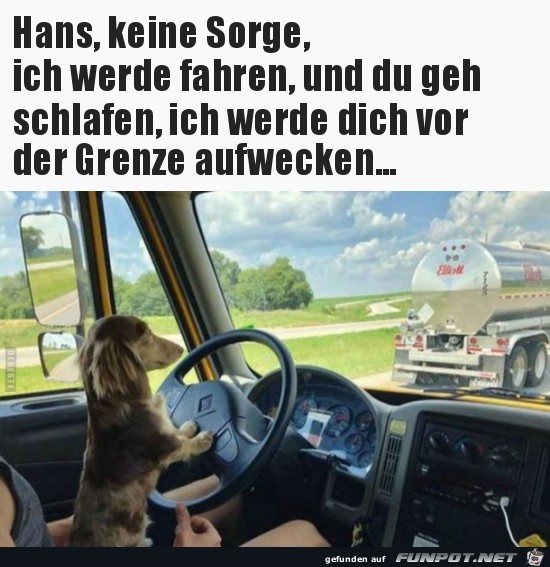 Hans, keine Sorge,.......