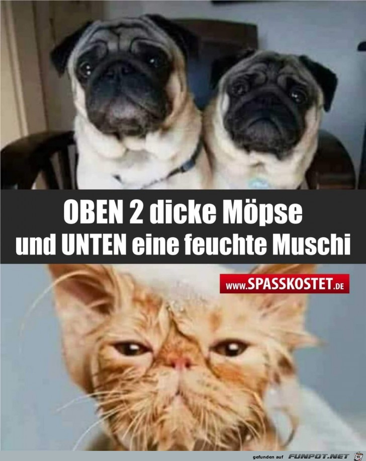 Ist so Ist so
