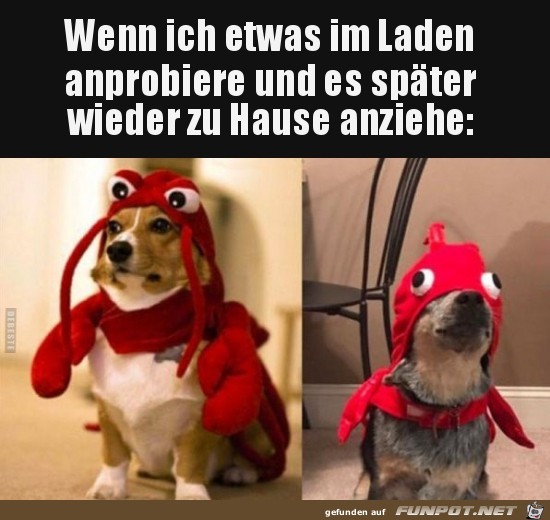 Kommt vor Kommt vor
