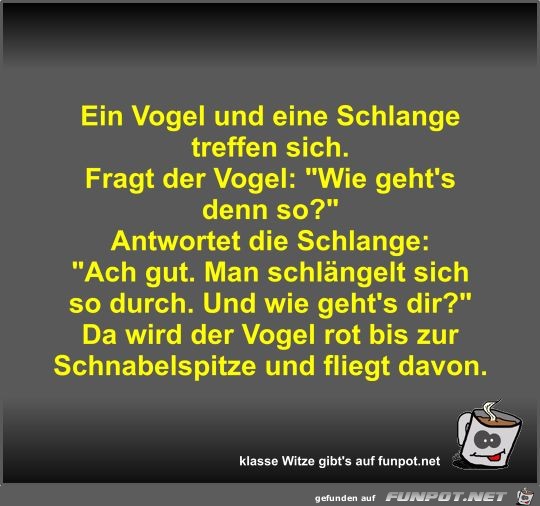 Ein Vogel und eine Schlange treffen sich Ein Vogel und eine Schlange treffen sich
