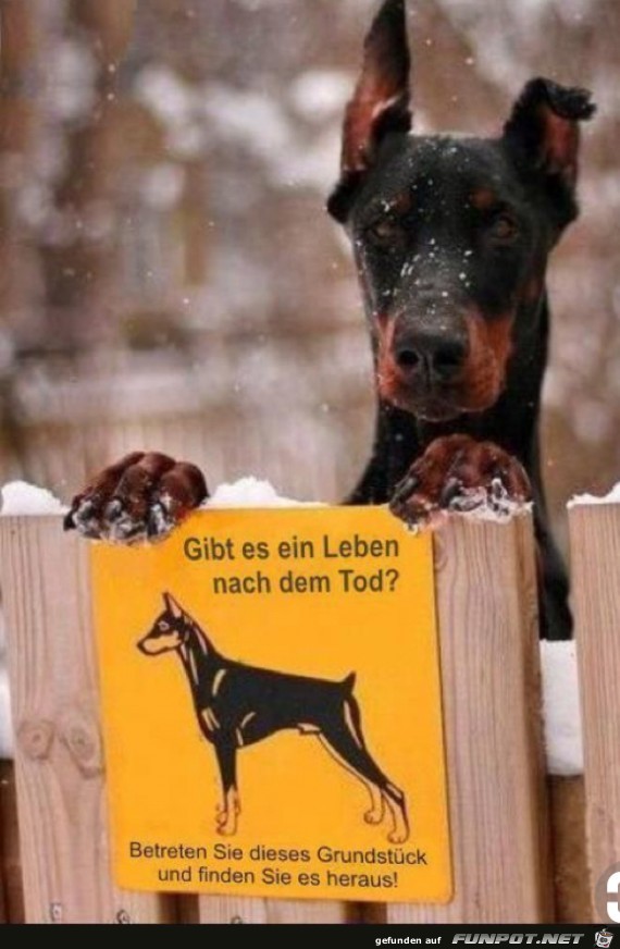 Gibt es ein Leben nach dem Tod? Gibt es ein Leben nach dem Tod?