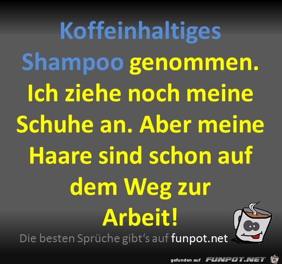 Shampoo Shampoo