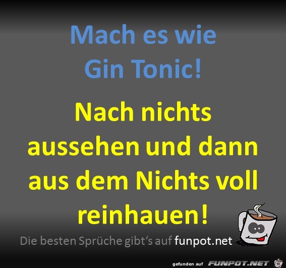 Gin Tonic Gin Tonic
