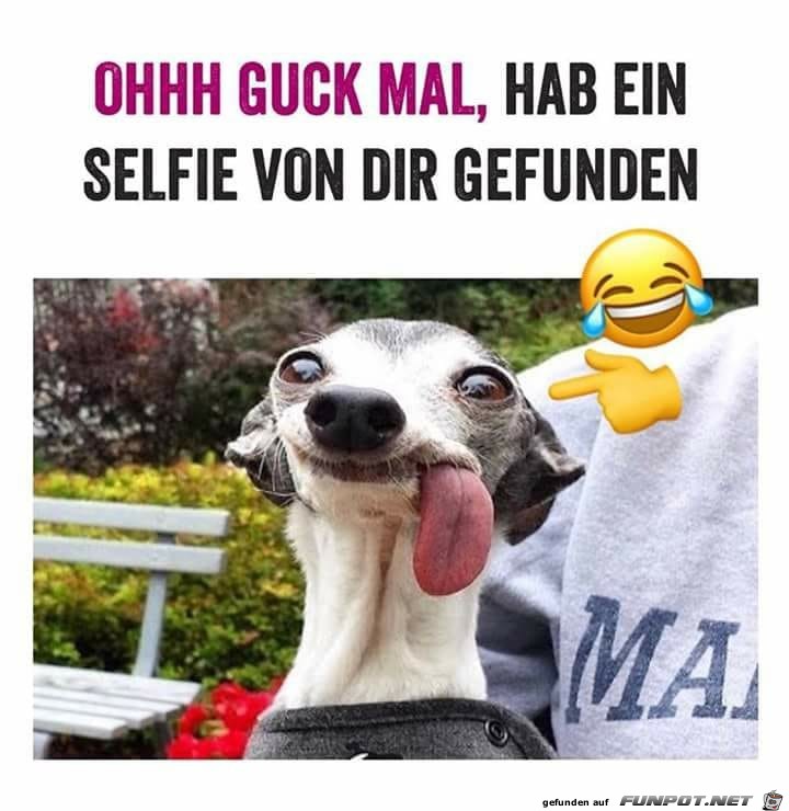 Tolles Selfie